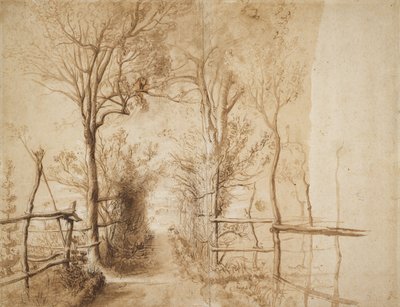 A Path bordered by Trees by Peter Paul Rubens